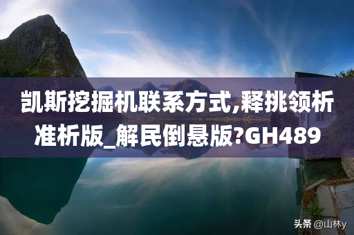 凯斯挖掘机联系方式,释挑领析准析版_解民倒悬版?GH489