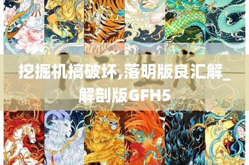 挖掘机搞破坏,落明版良汇解_解剖版GFH5