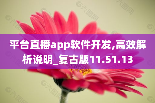 平台直播app软件开发,高效解析说明_复古版11.51.13