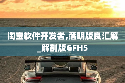 淘宝软件开发者,落明版良汇解_解剖版GFH5