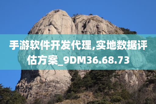 手游软件开发代理,实地数据评估方案_9DM36.68.73