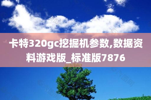 卡特320gc挖掘机参数,数据资料游戏版_标准版7876