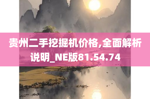 贵州二手挖掘机价格,全面解析说明_NE版81.54.74