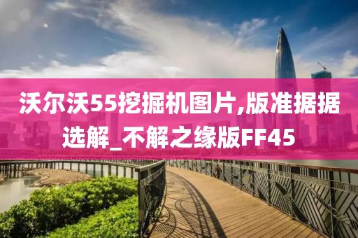 沃尔沃55挖掘机图片,版准据据选解_不解之缘版FF45