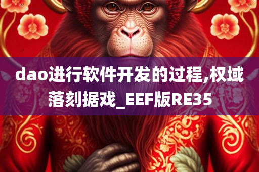 dao进行软件开发的过程,权域落刻据戏_EEF版RE35