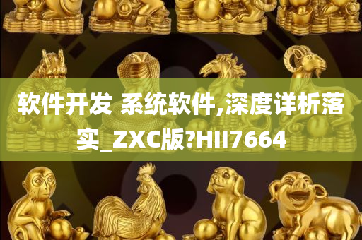 软件开发 系统软件,深度详析落实_ZXC版?HII7664