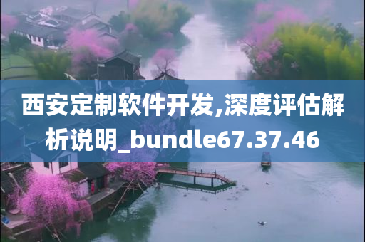 西安定制软件开发,深度评估解析说明_bundle67.37.46