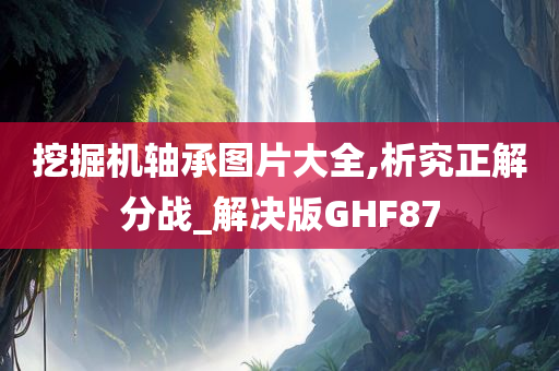 挖掘机轴承图片大全,析究正解分战_解决版GHF87