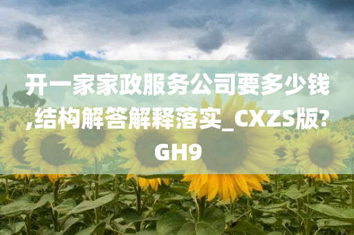 开一家家政服务公司要多少钱,结构解答解释落实_CXZS版?GH9