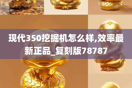 现代350挖掘机怎么样,效率最新正品_复刻版78787