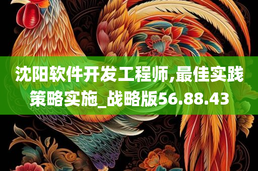 沈阳软件开发工程师,最佳实践策略实施_战略版56.88.43