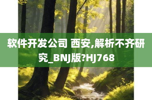 软件开发公司 西安,解析不齐研究_BNJ版?HJ768