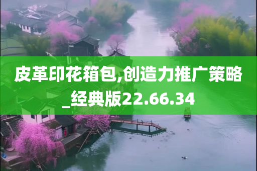 皮革印花箱包,创造力推广策略_经典版22.66.34