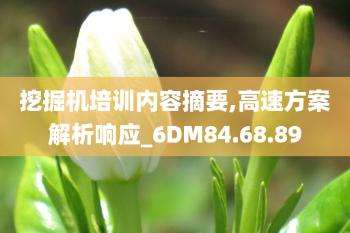 挖掘机培训内容摘要,高速方案解析响应_6DM84.68.89