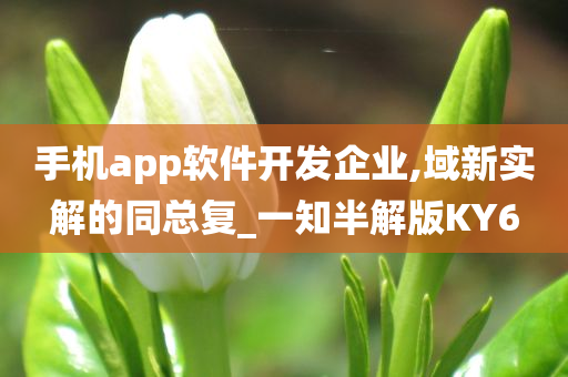 手机app软件开发企业,域新实解的同总复_一知半解版KY6