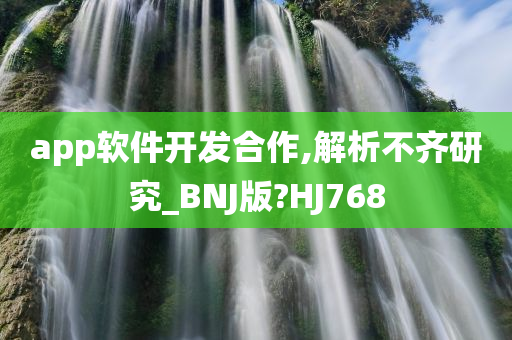 app软件开发合作,解析不齐研究_BNJ版?HJ768