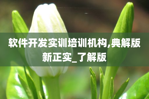 软件开发实训培训机构,典解版新正实_了解版