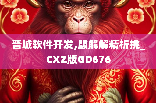 晋城软件开发,版解解精析挑_CXZ版GD676