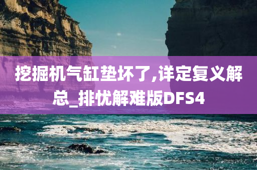 挖掘机气缸垫坏了,详定复义解总_排忧解难版DFS4