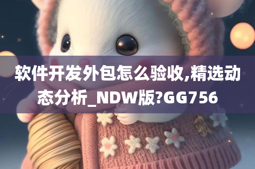 软件开发外包怎么验收,精选动态分析_NDW版?GG756