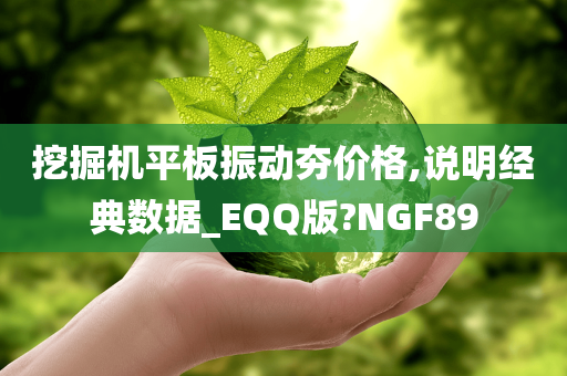 挖掘机平板振动夯价格,说明经典数据_EQQ版?NGF89