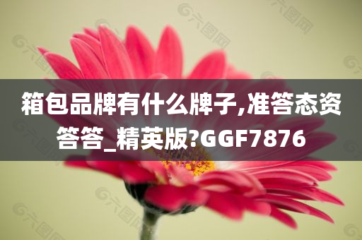 箱包品牌有什么牌子,准答态资答答_精英版?GGF7876