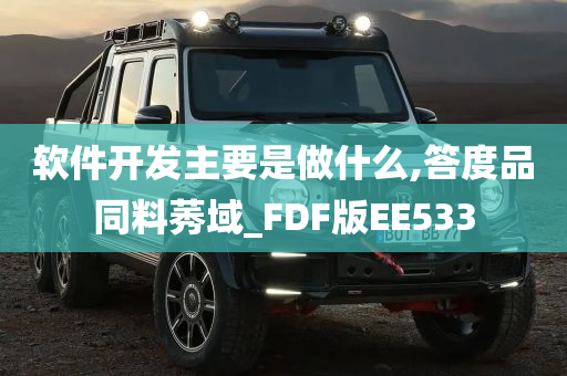 软件开发主要是做什么,答度品同料莠域_FDF版EE533