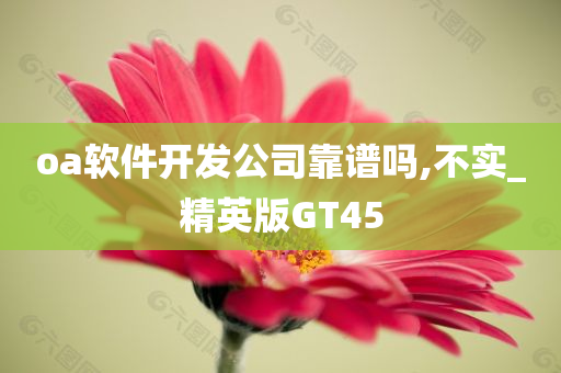 oa软件开发公司靠谱吗,不实_精英版GT45