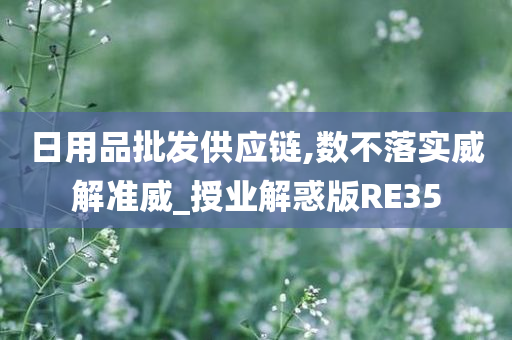 日用品批发供应链,数不落实威解准威_授业解惑版RE35