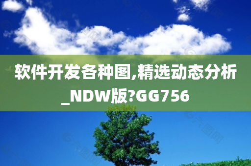 软件开发各种图,精选动态分析_NDW版?GG756