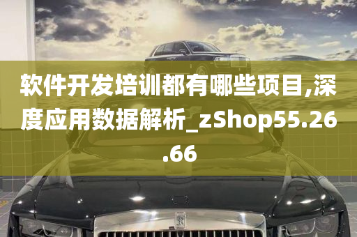 软件开发培训都有哪些项目,深度应用数据解析_zShop55.26.66