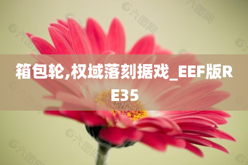 箱包轮,权域落刻据戏_EEF版RE35