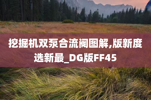 挖掘机双泵合流阀图解,版新度选新最_DG版FF45