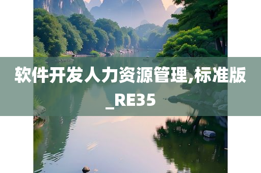 软件开发人力资源管理,标准版_RE35