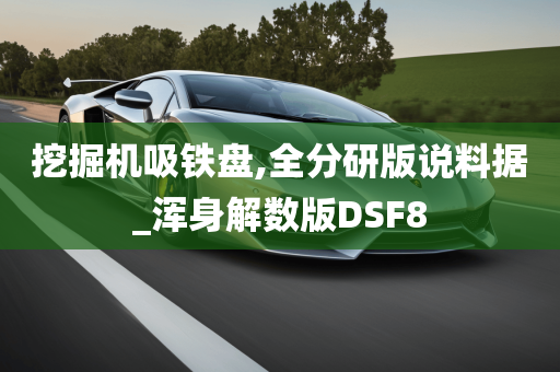 挖掘机吸铁盘,全分研版说料据_浑身解数版DSF8