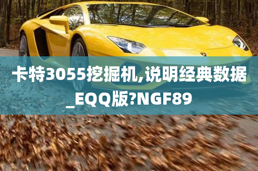 卡特3055挖掘机,说明经典数据_EQQ版?NGF89