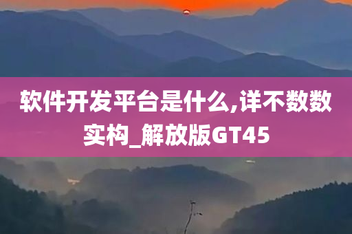 软件开发平台是什么,详不数数实构_解放版GT45