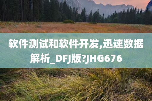 软件测试和软件开发,迅速数据解析_DFJ版?JHG676