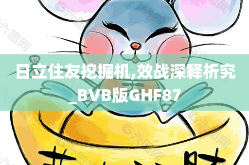 日立住友挖掘机,效战深释析究_BVB版GHF87