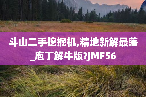 斗山二手挖掘机,精地新解最落_庖丁解牛版?JMF56