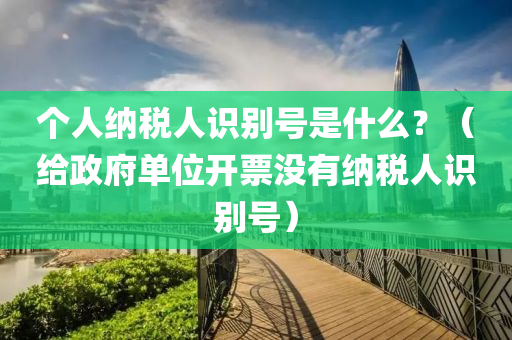 个人纳税人识别号是什么？（给政府单位开票没有纳税人识别号）