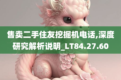 售卖二手住友挖掘机电话,深度研究解析说明_LT84.27.60