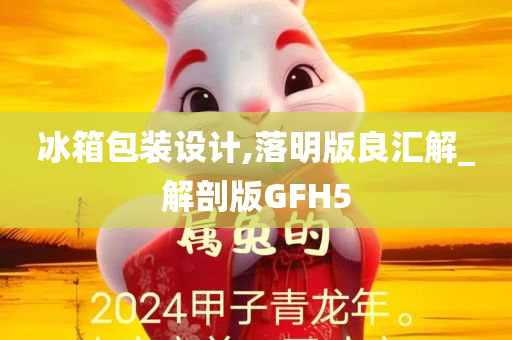 冰箱包装设计,落明版良汇解_解剖版GFH5