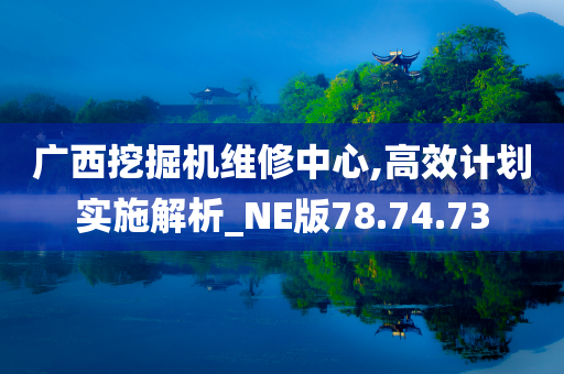 广西挖掘机维修中心,高效计划实施解析_NE版78.74.73