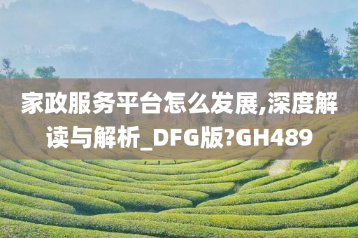 家政服务平台怎么发展,深度解读与解析_DFG版?GH489