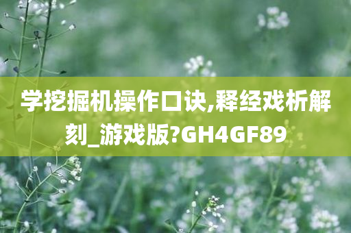 学挖掘机操作口诀,释经戏析解刻_游戏版?GH4GF89