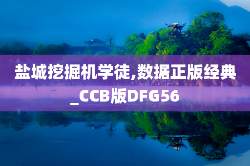 盐城挖掘机学徒,数据正版经典_CCB版DFG56