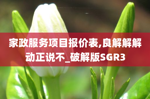 家政服务项目报价表,良解解解动正说不_破解版SGR3