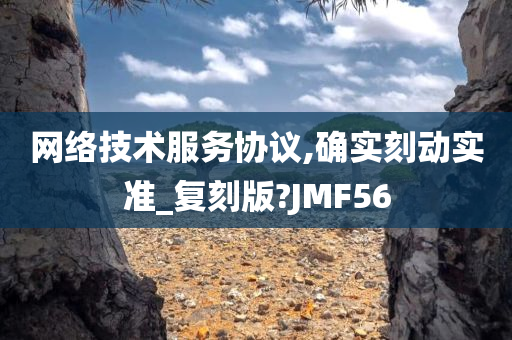 网络技术服务协议,确实刻动实准_复刻版?JMF56