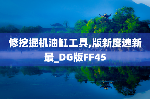 修挖掘机油缸工具,版新度选新最_DG版FF45